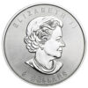 1.5 oz. Canadian Polar Bear & Cub Silver Coin
